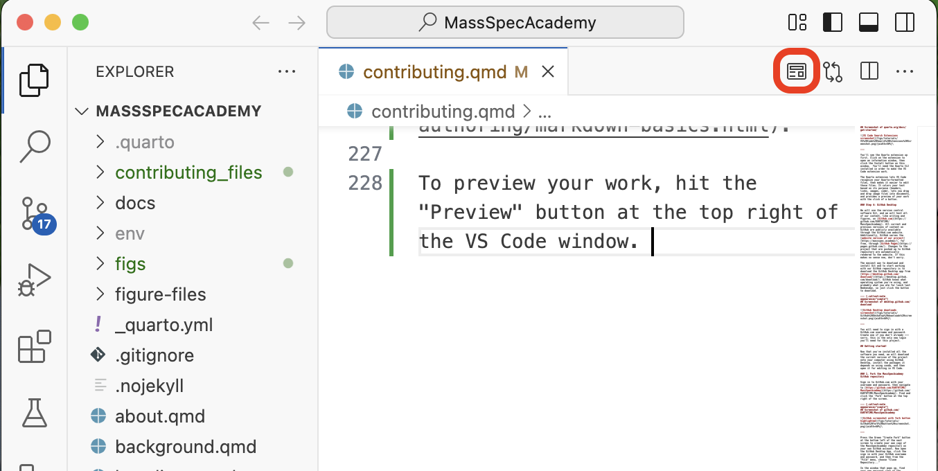 VS Code Preview button screenshot